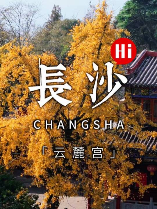 ���Lɳ��´ɽ��´�m���y���S��һ�Ø����һ��ʢ���������´ɽ��´�m�y���Lɳ